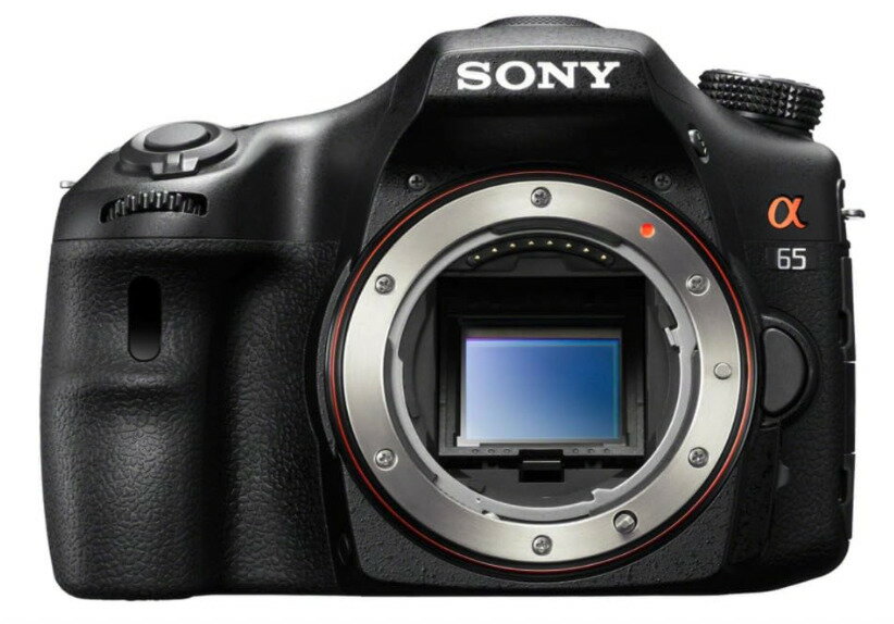 楽天市場】sony α65の通販