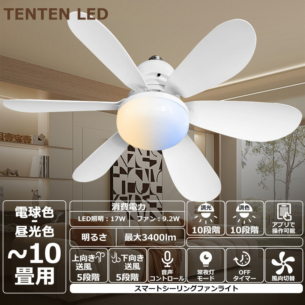 楽天市場】シーリングファン 10畳の通販
