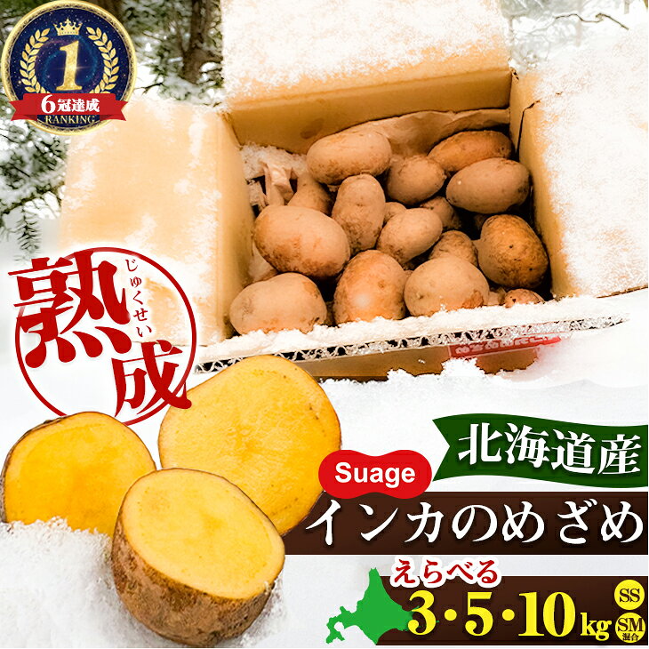 楽天市場】インカのめざめ 10kgの通販