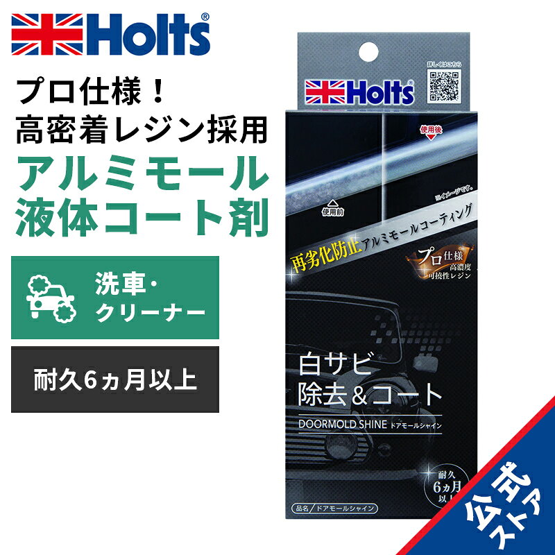 楽天市場】欧州 車 メッキ モール 磨きの通販