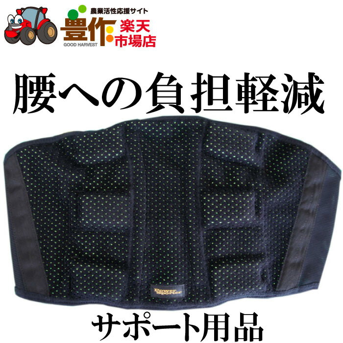 楽天市場】パワースポーター（体の部位腰）の通販