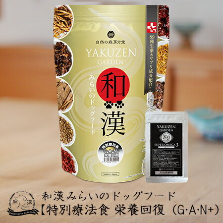 楽天市場】紅豆杉の通販