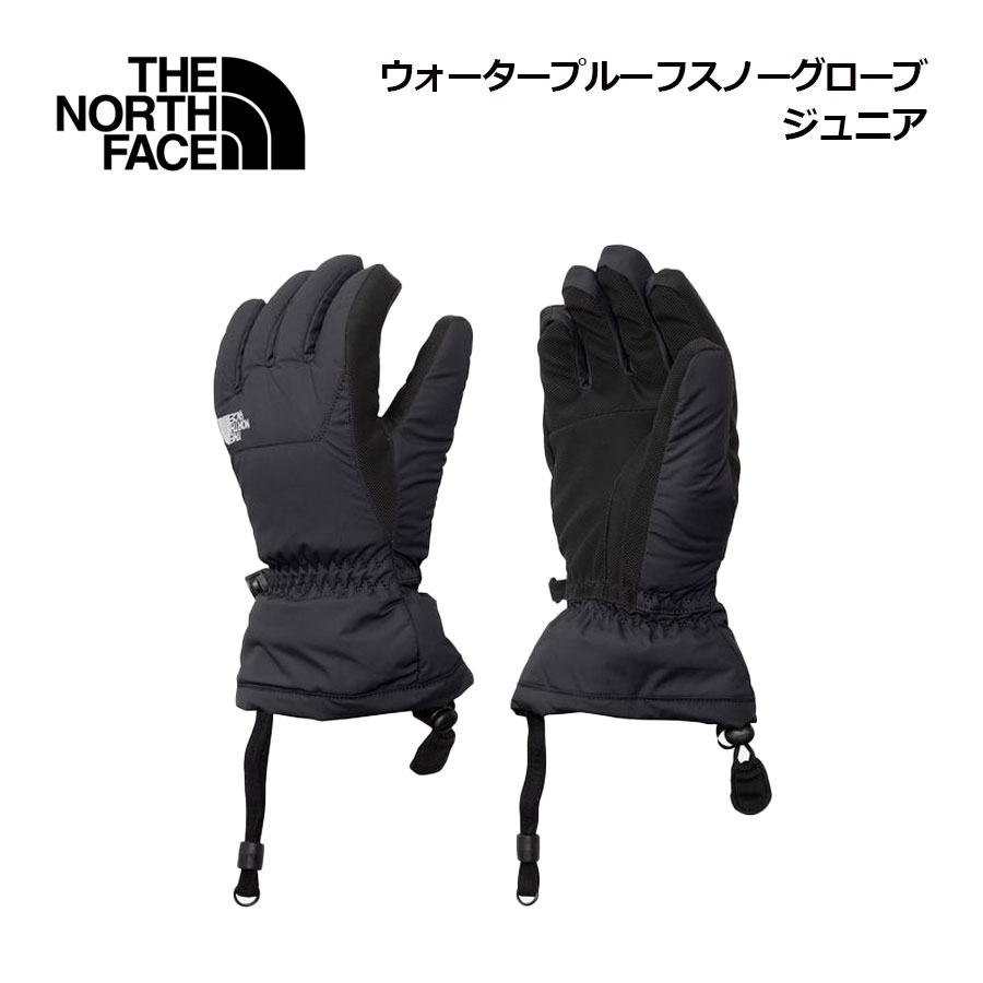 楽天市場】ノースフェイス スキー 手袋の通販
