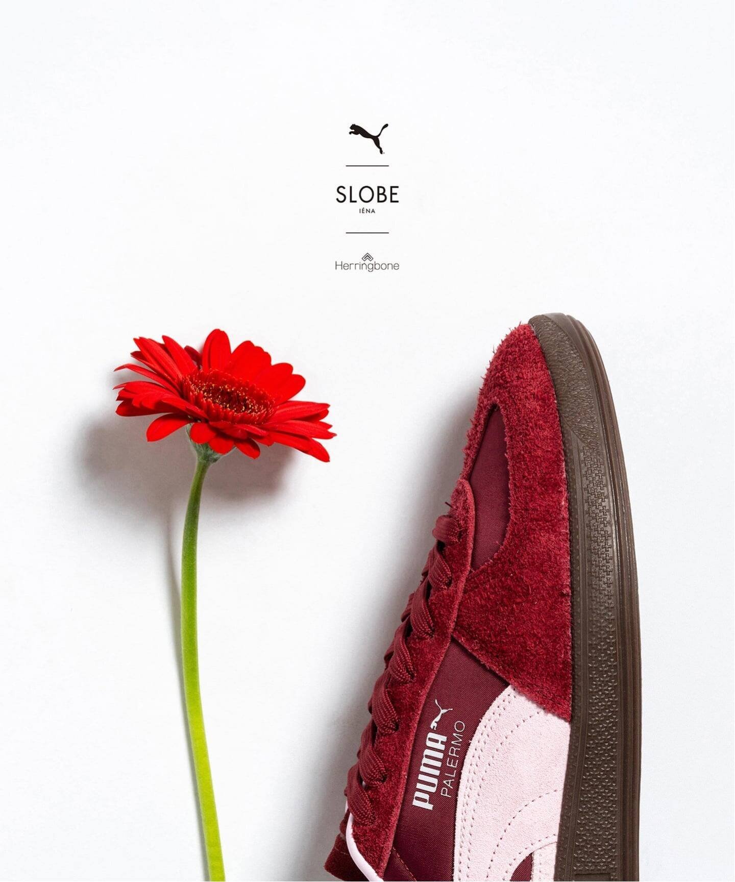 楽天市場】ワインレッド（スニーカー｜メンズ靴）：靴の通販