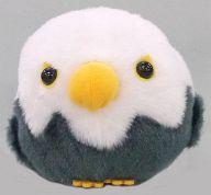 楽天市場】ことり 隊 ぬいぐるみの通販