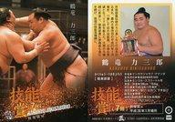 楽天市場】相撲 鶴竜（ホビー）の通販