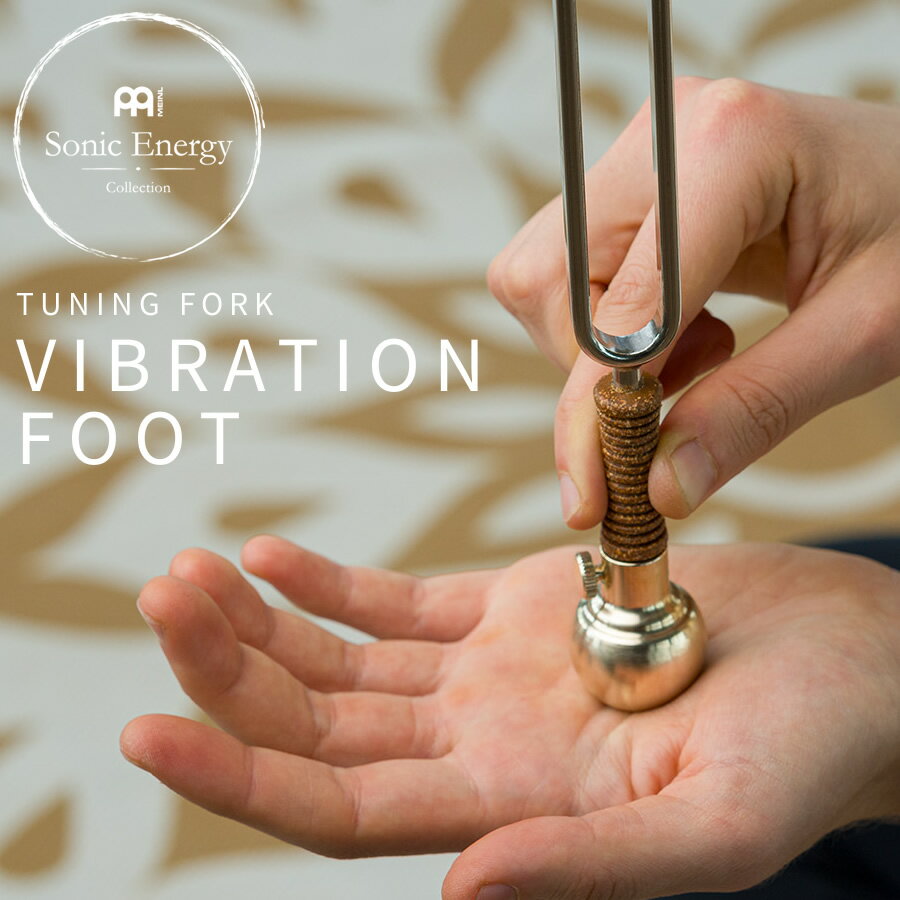 楽天市場】音叉 アタッチメントの通販