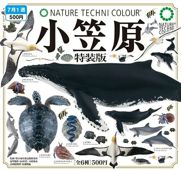 楽天市場】ネイチャーテクニカラー（フィギュア｜コレクション