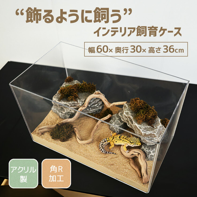 楽天市場】ケージ 爬虫類 60 30 36の通販