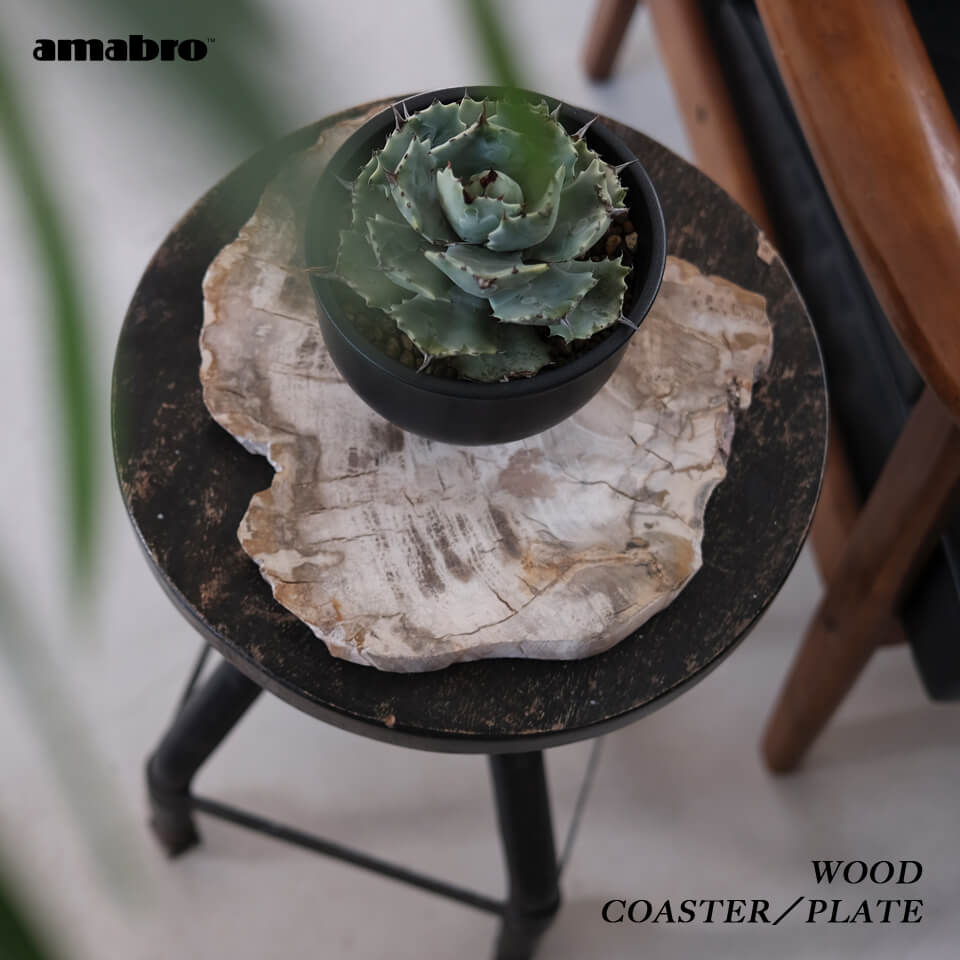 楽天市場】珪化木（花・ガーデン・DIY）の通販