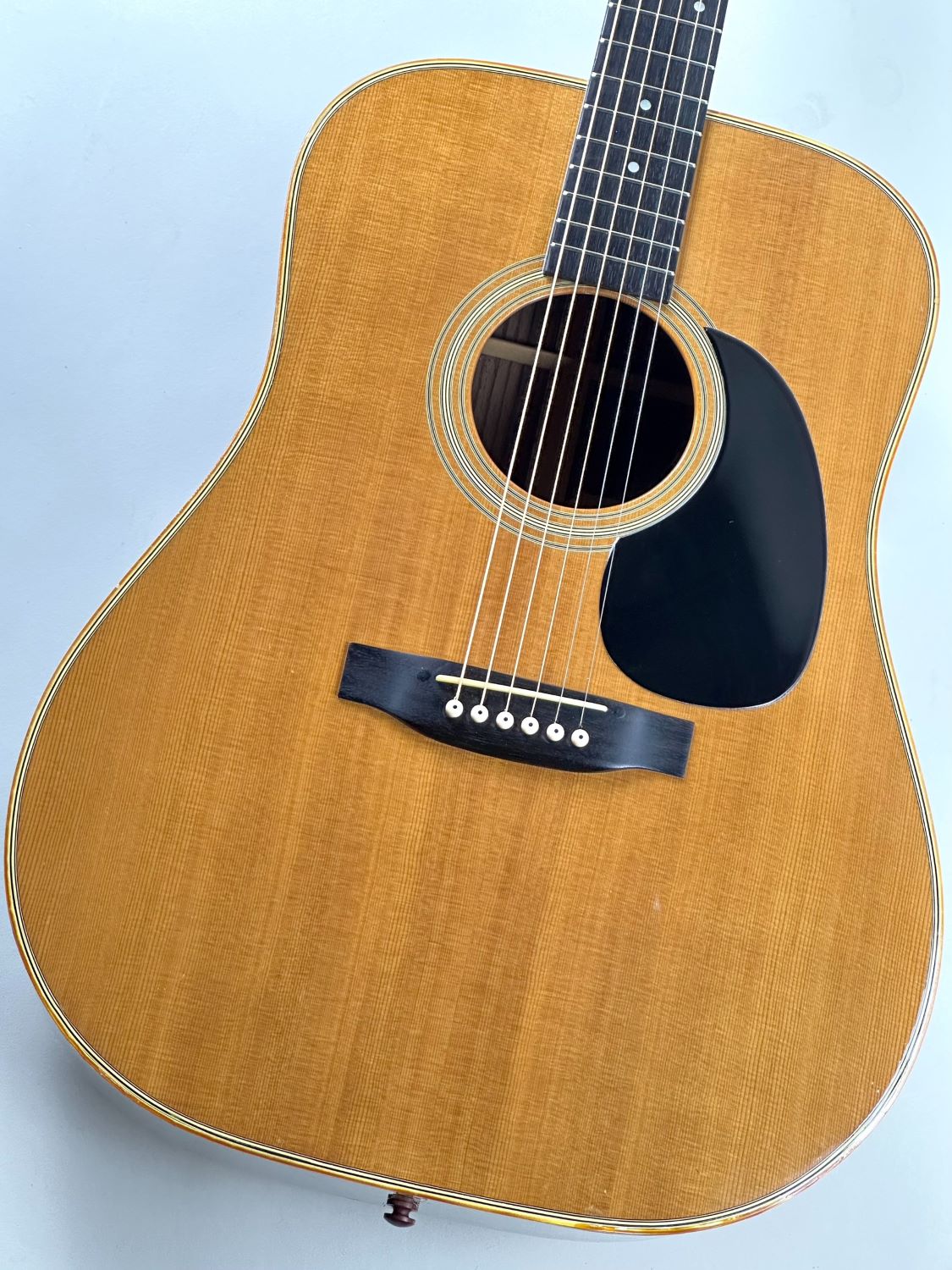 楽天市場】aria dreadnoughtの通販