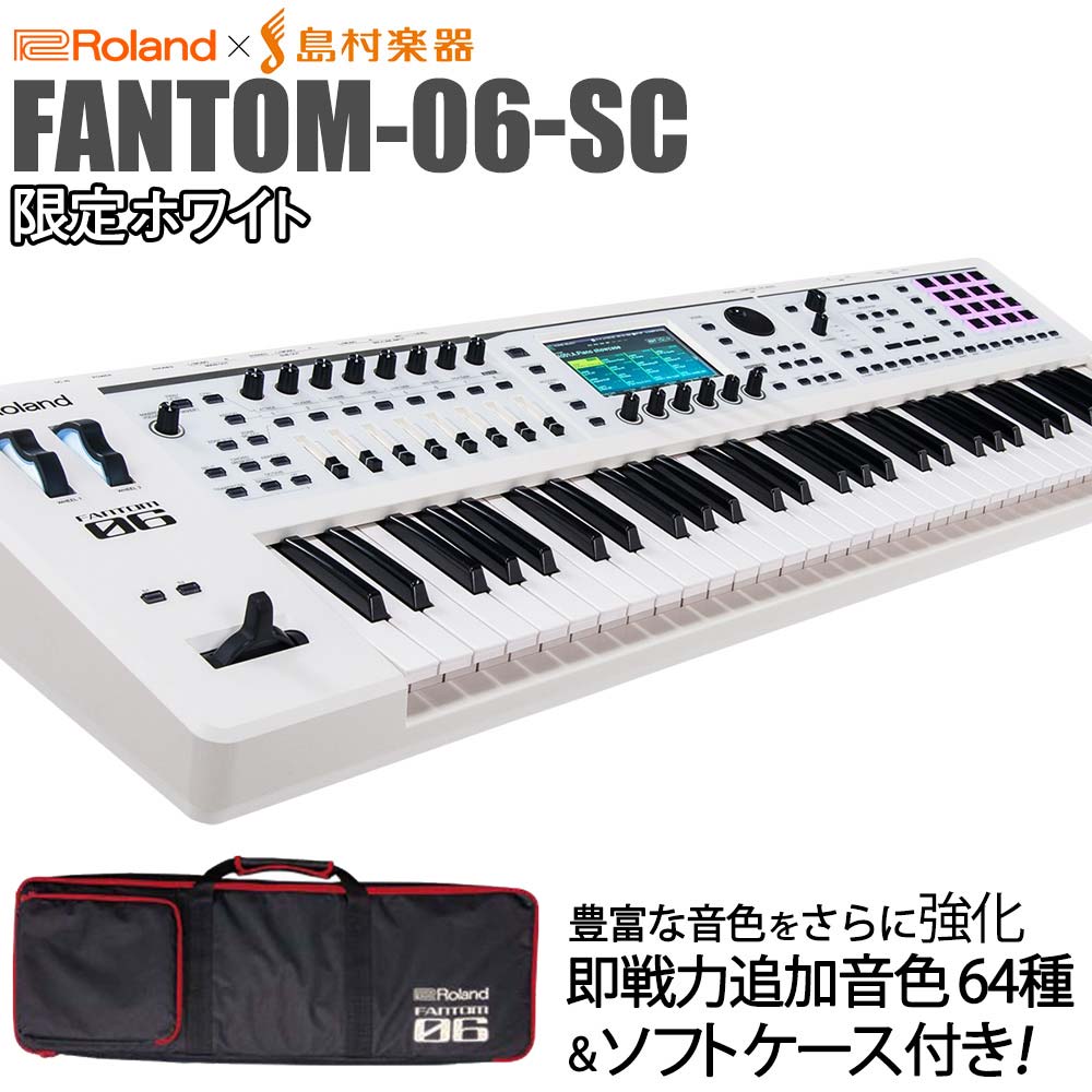 楽天市場】fa－06 roland 純正ソフトケースの通販