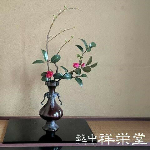 楽天市場】大野芳光の通販