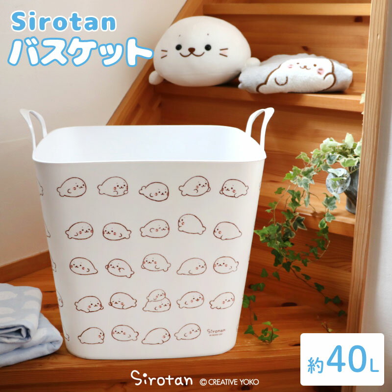 楽天市場】しろたん 収納の通販