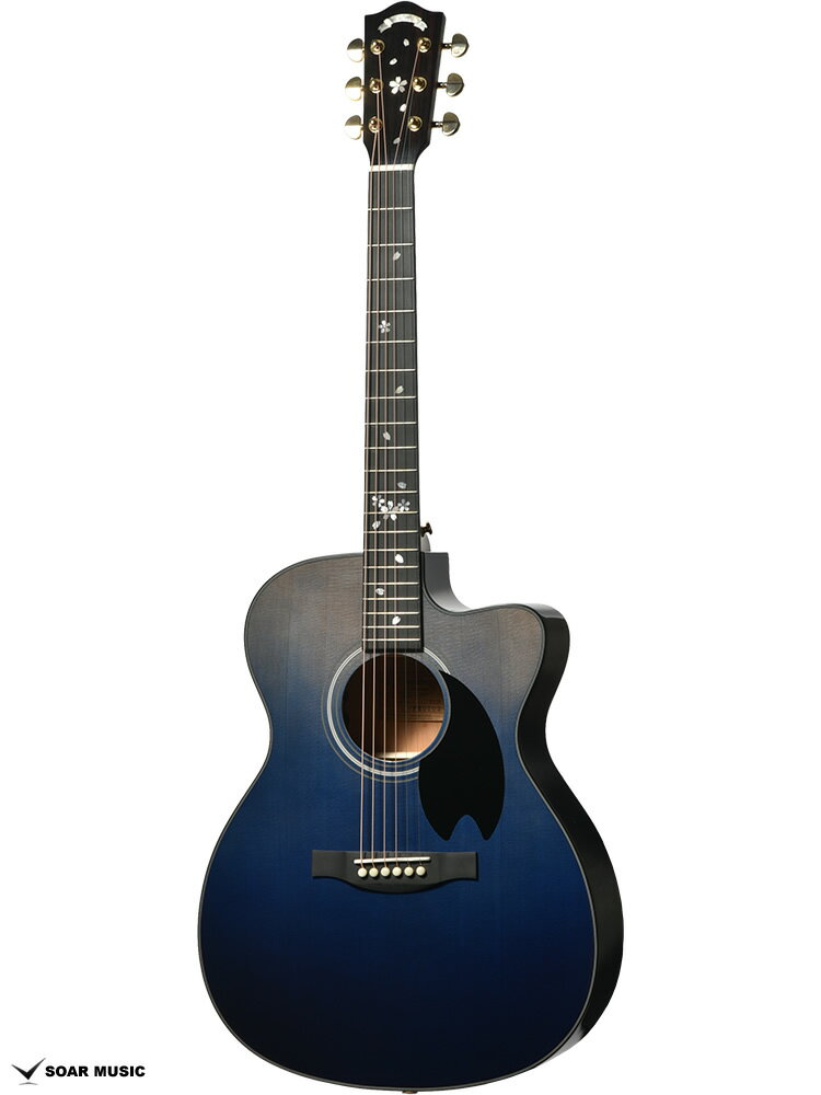 アコースティックギター グラデーションブルー ケース付き