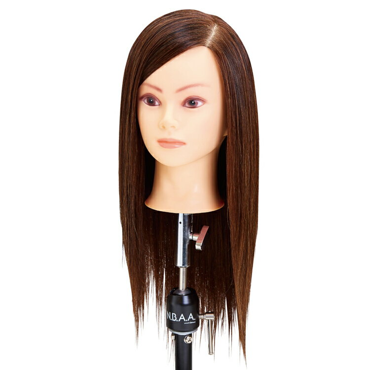 楽天市場】nbaa アップ ウィッグの通販