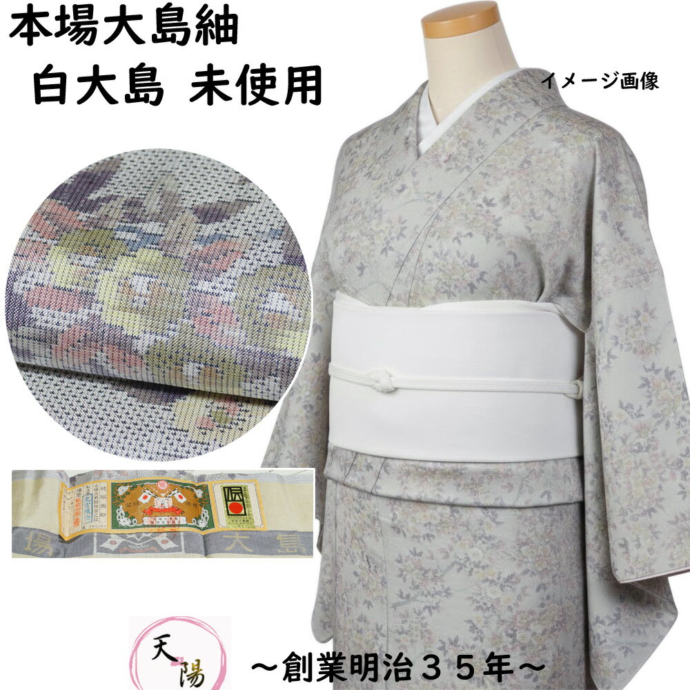 楽天市場】白大島紬の通販