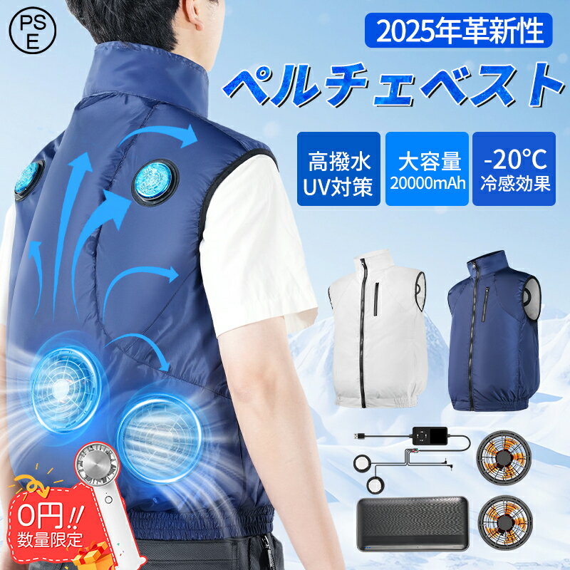 楽天市場】ダンロップ ファン付きベスト（安全・保護用品｜DIY・工具