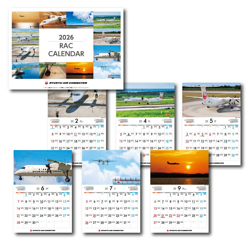 楽天市場】飛行機 模型 jtaの通販