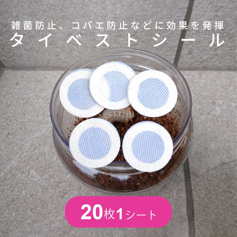 楽天市場】タイベストシール（昆虫｜ペット・ペットグッズ）の通販