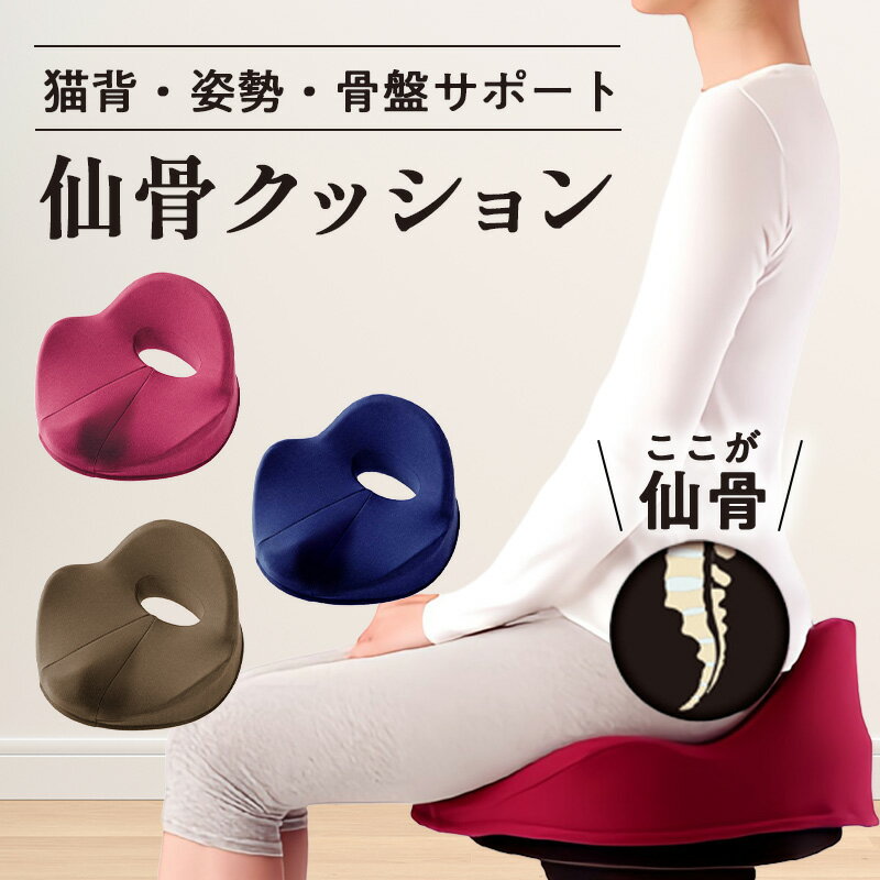 楽天市場】骨盤 立てる クッション（矯正グッズ｜健康グッズ