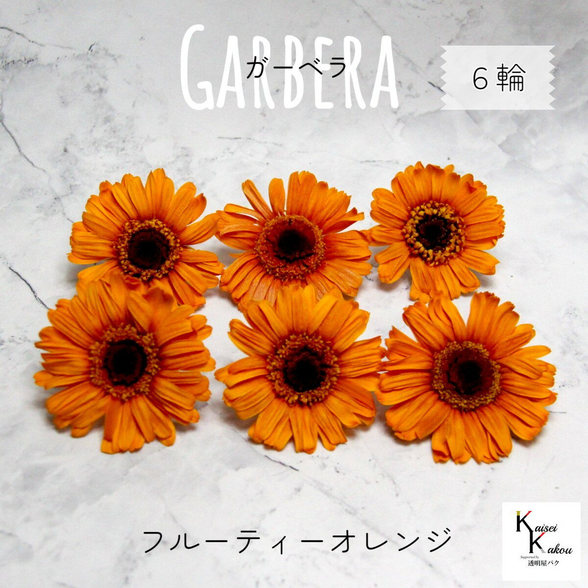 楽天市場】ガーベラ（植物の本数6本）の通販