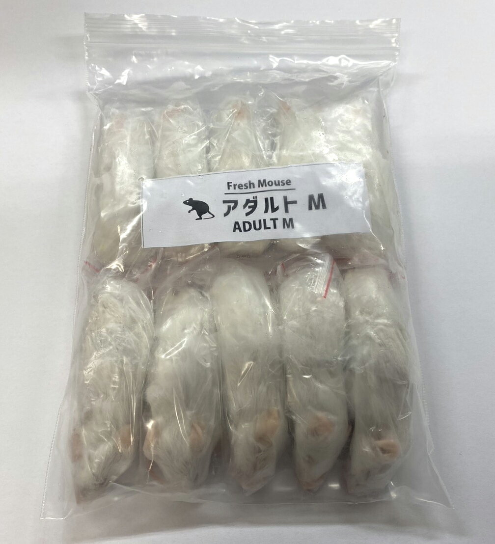 楽天市場】冷凍 アダルトマウス mサイズ 50匹の通販