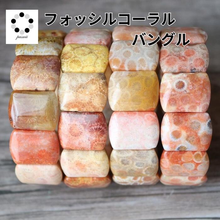 楽天市場】フォッシルコーラルの通販