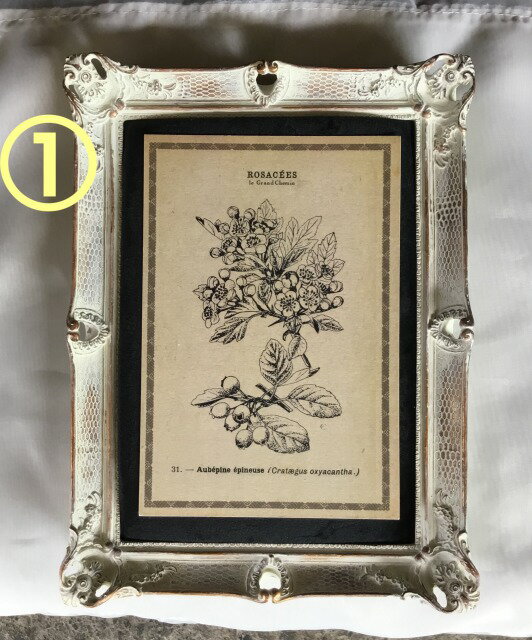 楽天市場】le Grand Chemin グランシュマン ボタニカルカード