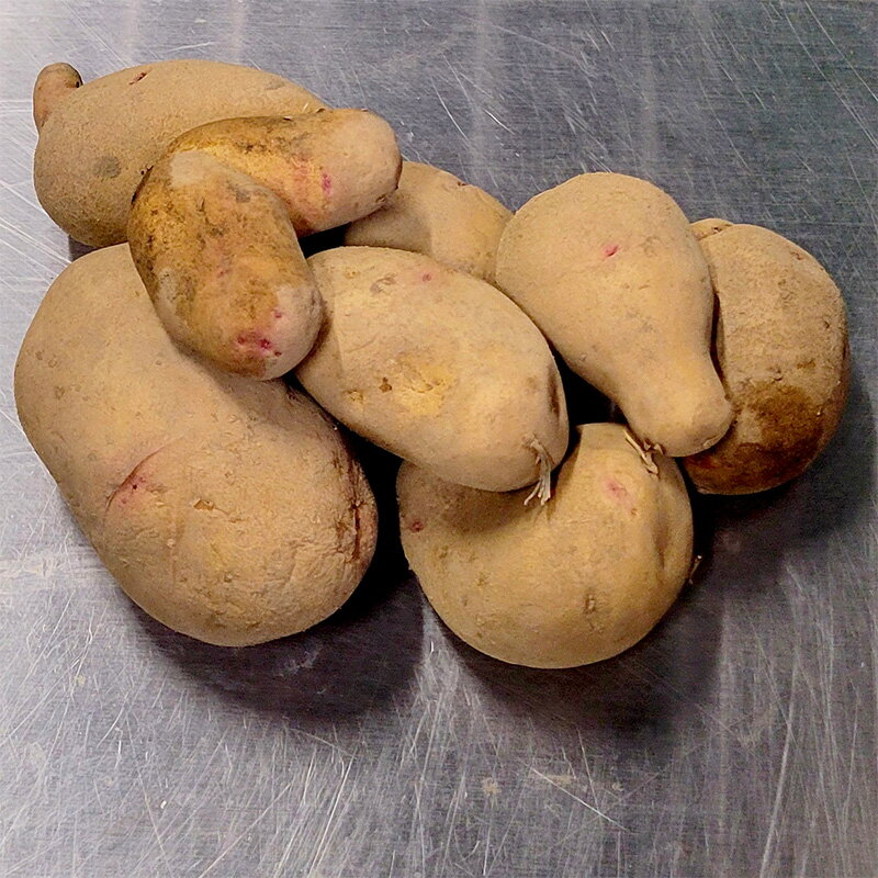 楽天市場】じゃがいも 種芋 10kg（ガーデニング・農業｜花・ガーデン