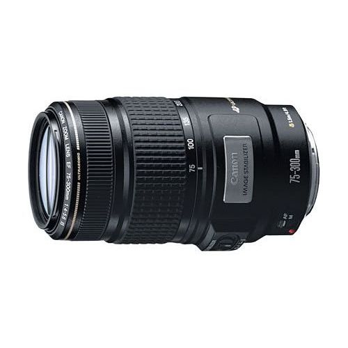 楽天市場】canon ef75－300mmの通販