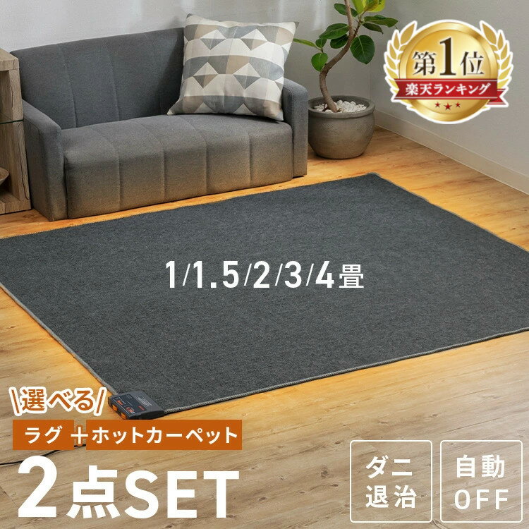 Takada ホットカーペット TB-1033 バーガンディ1枚 Takada ホット