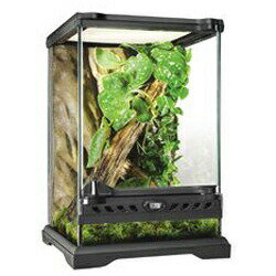 楽天市場】3045 グラステラリウムの通販