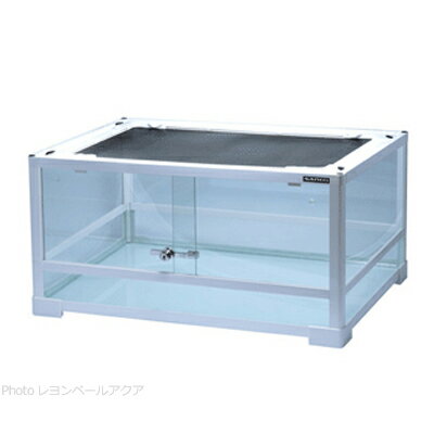 楽天市場】パンテオン 60の通販