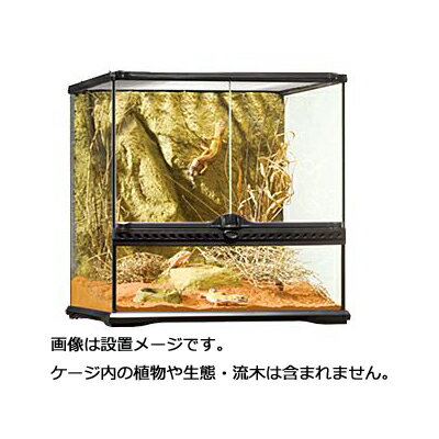 楽天市場】gex グラス テラリウム 9045の通販