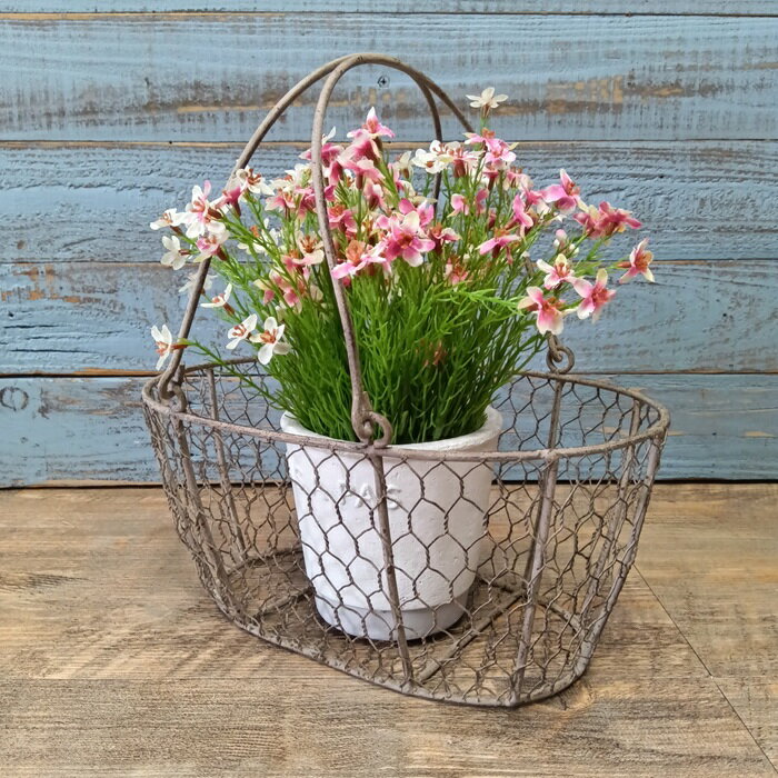楽天市場】ガーデニング ワイヤーバスケット（花・ガーデン・DIY）の通販