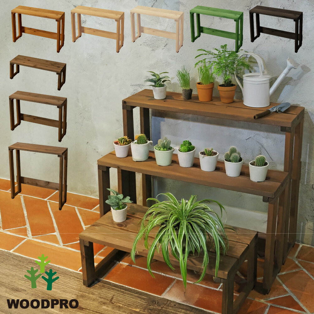 楽天市場】多肉植物 棚（原産国/製造国日本）の通販