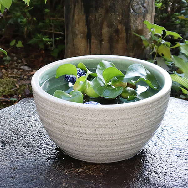 楽天市場】水鉢（植木鉢・プランター｜ガーデニング・農業）：花