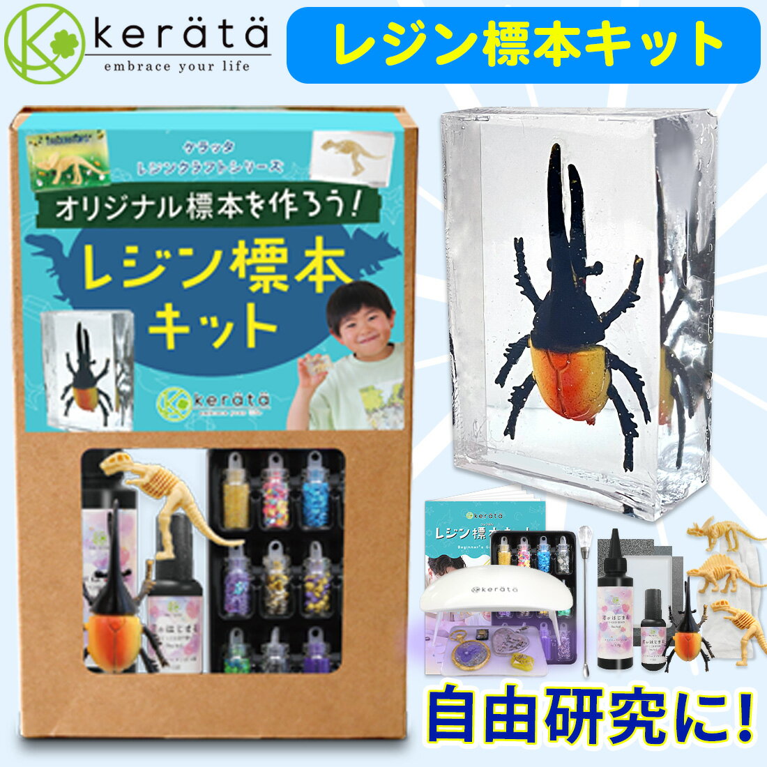 楽天市場】昆虫標本の通販