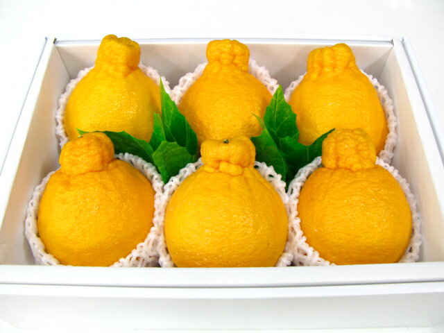 楽天市場】デコポン（その他｜フルーツ・果物）：食品の通販