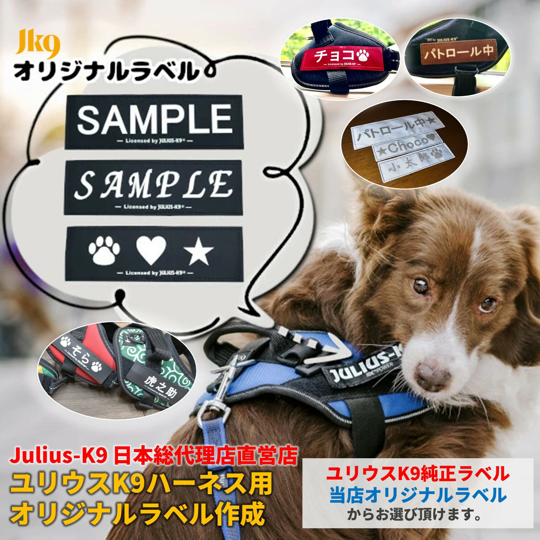 楽天市場】犬 ハーネス ネームの通販