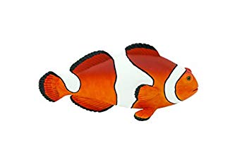 クマノミの立体オブジェ 「クマノミ親子」 作takuma 現代アート 【公式