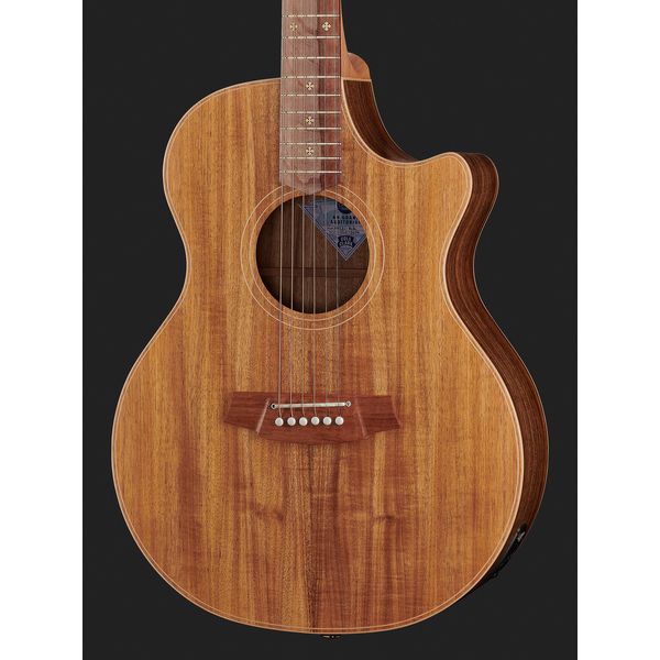 Cole Clark AN2EC-BLBL Angel – United States