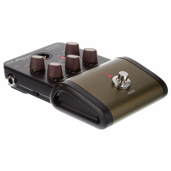 L.R.Baggs Session Acoustic DI – United States