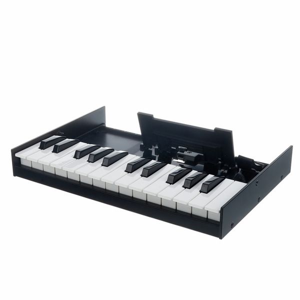 Roland Boutique K-25m Keyboard – United States