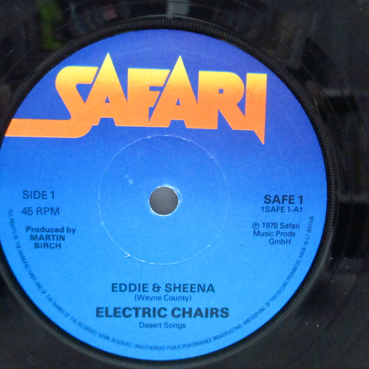 WAYNE COUNTY & THE ELECTRIC CHAIRS (ウェイン・カウンティ &amp