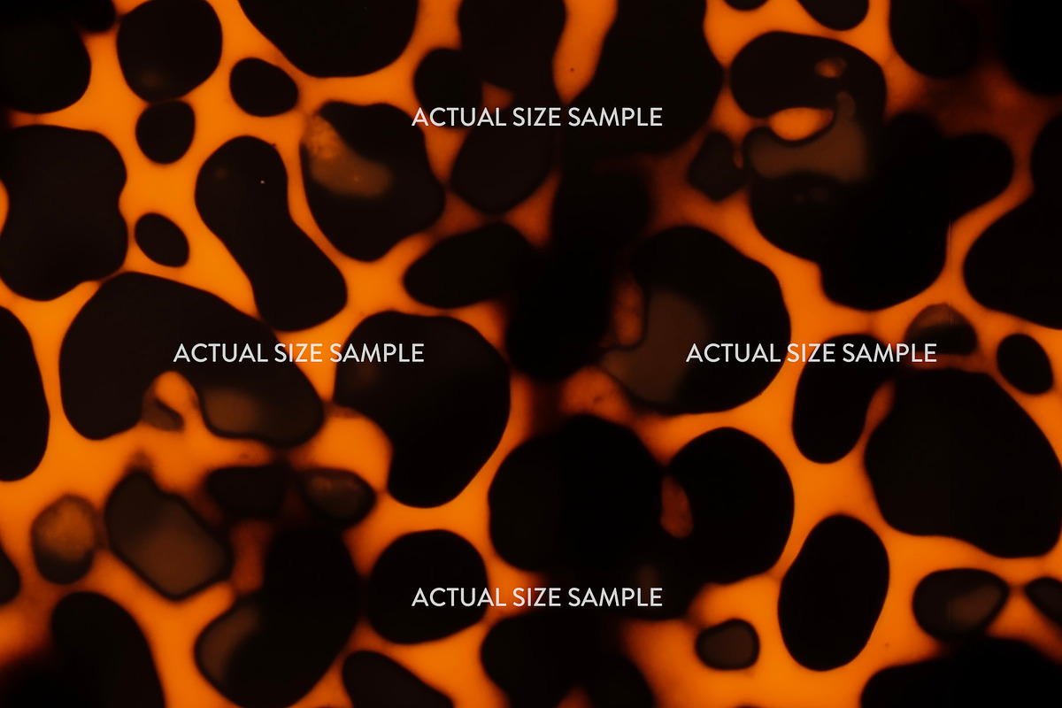 Tortoiseshell Animal Pattern, a Pattern Graphic by Leysa Flores