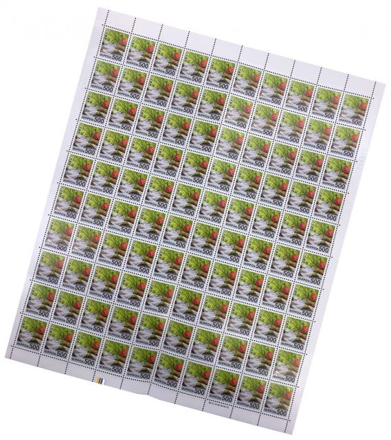 完封20枚十字帯付き】新レターパックプラス（600円） | 郵送買取