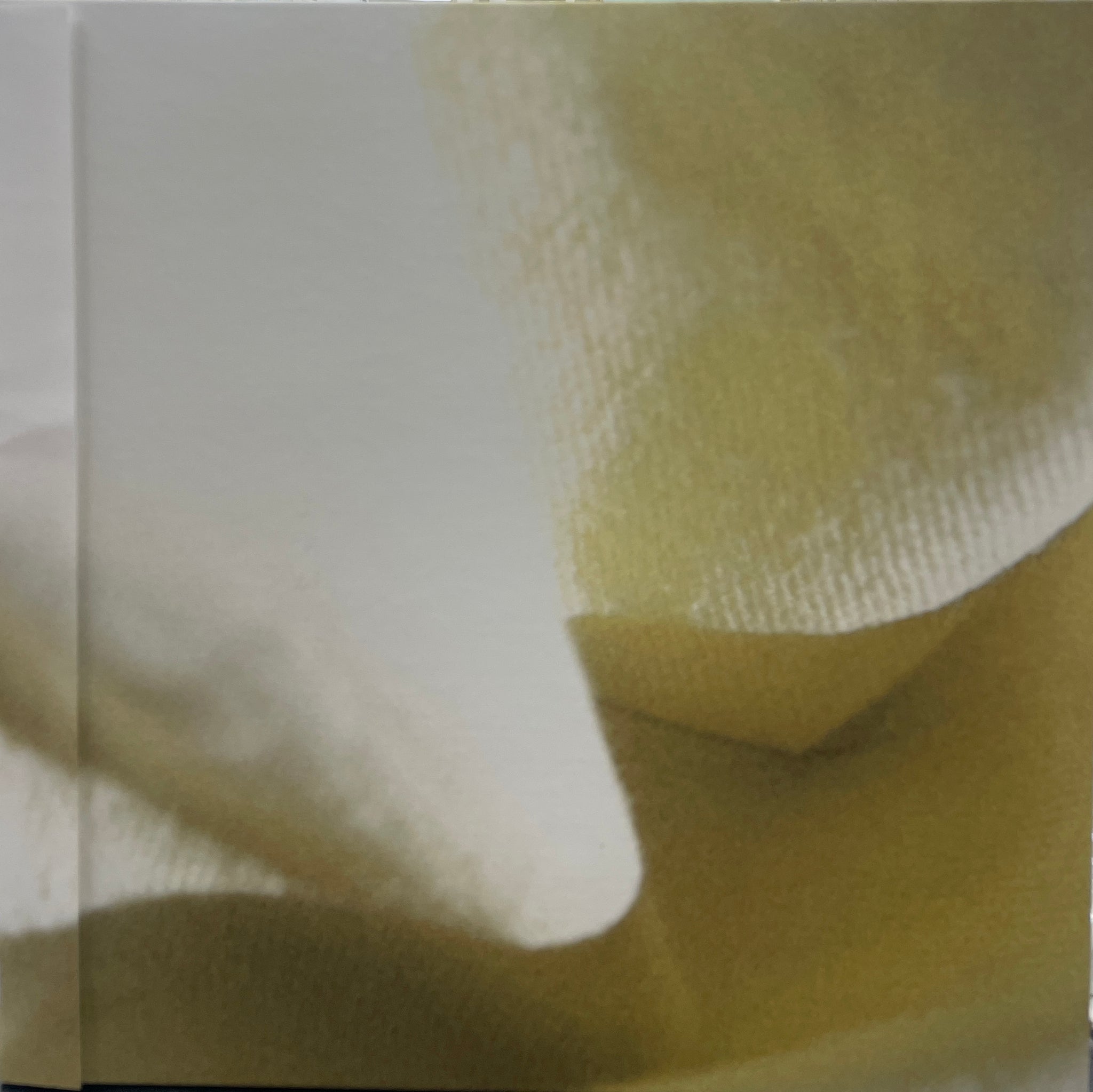 カネコアヤノ / よすが ( inc. 抱擁 ) 1994 Co., Ltd. – NNFS-1007