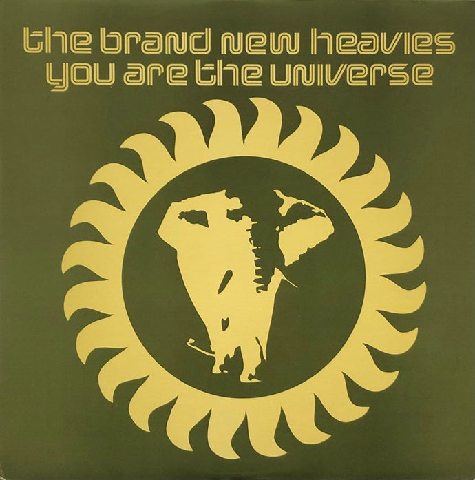 BRAND NEW HEAVIES / You Are The Universe (BAD004, 12inch) – TICRO